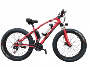 E-Bike