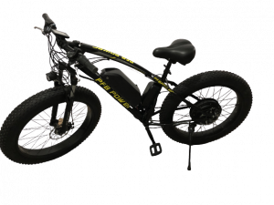 E-Bike 1000 watt