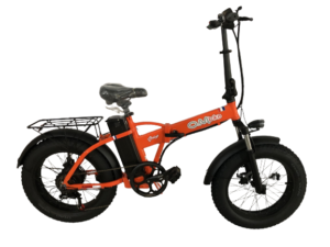 Fat Bike 500 watt