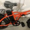 Fat Bike 500 watt