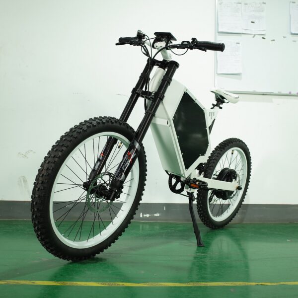 E-Bike 3000